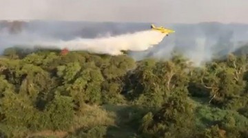 Zanoni fire gates stand out in South American fire fighting