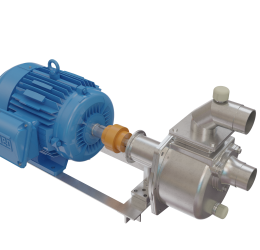 BOMBA AUTOESCORVANTE INOX 2" - MOTOR WEG 7.5CV (220V/380v)
