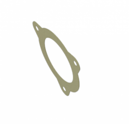 Inlet Gasket for Zanoni Stainless Steel Pumps