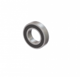 Bearing 6007