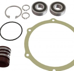 Spares Kit with Tungsten Seal for Zanoni 5" Spray Pump (new model)