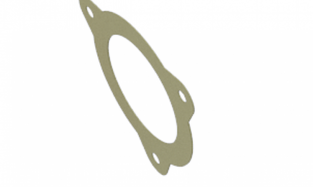Inlet Gasket for Zanoni Stainless Steel Pumps