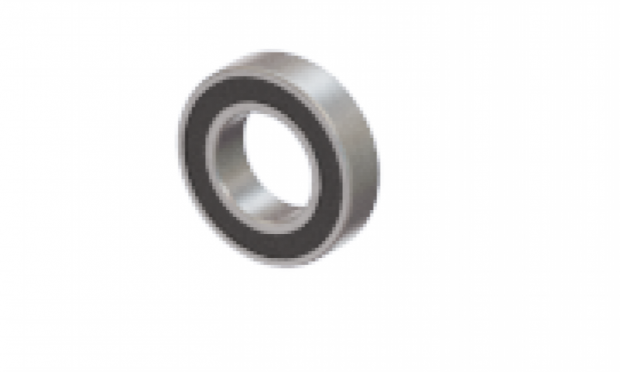 Bearing 6007
